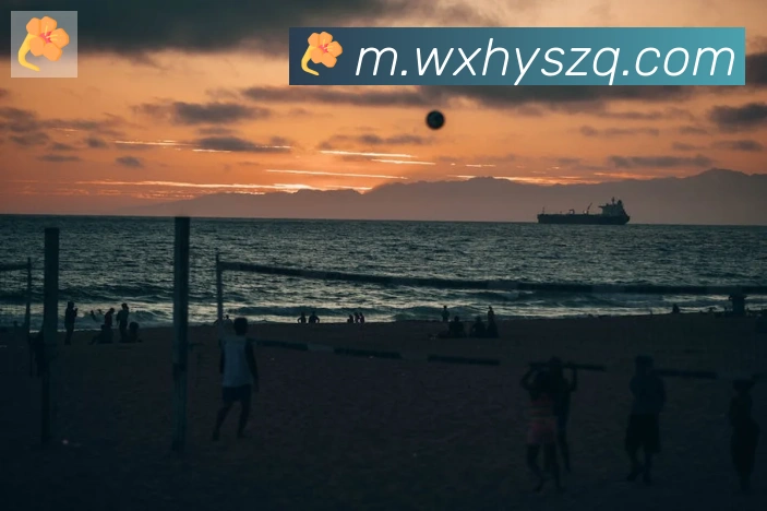 开云kaiyun网页版发展历程